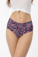FIGI CRANBERRIES BRASIL MAXI